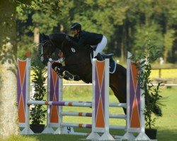 Springpferd Highflyer 3 (Oldenburger, 2018, von Hickstead White)