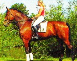 horse Fernando 572 (Hanoverian, 1999, from Feiner Graf)