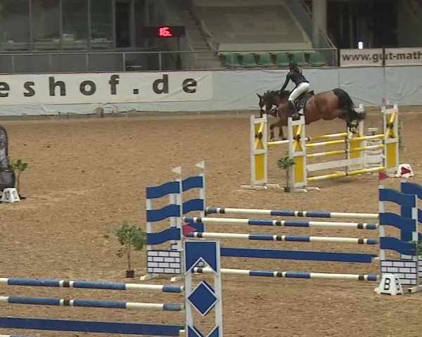 Reitturnier Kreuth 2025