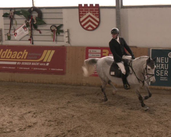 Reitturnier Westbarthausen 2025