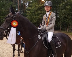 jumper Motsi Mabuse 2 (German Riding Pony, 2016, from Magic Cornflakes)