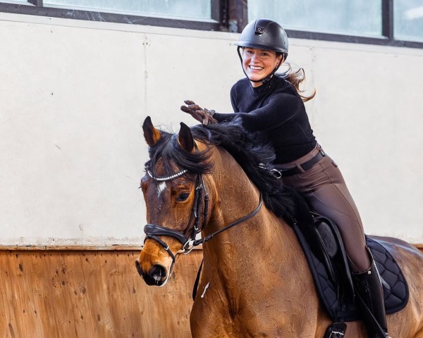 dressage horse Fine Fabritius (German Sport Horse, 2019, from Birkhof's Fabritius FBW)