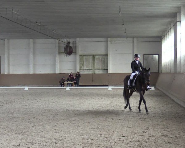 Reitturnier Prussendorf 2025