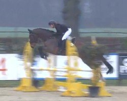 jumper Jalou 5 (Hanoverian, 2020, from Jaloubet K VDL)