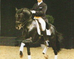 stallion Sol (Lusitano, 1999, from Mississipe)