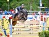 jumper Sam 1192 (German Sport Horse, 2017, from Stolzenberg)