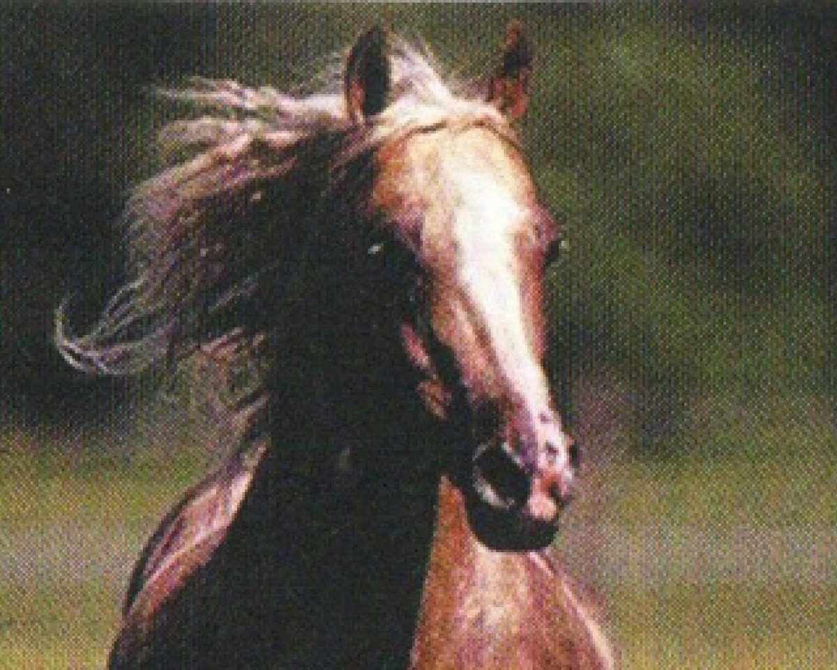 stallion Jacs Little Lena (Quarter Horse, 1993, from Dolls Union Jac)