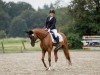 dressage horse Quietsch Fidelia (German Sport Horse, 2009, from Quaterback)