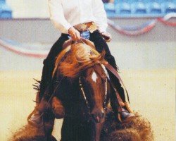 stallion Bearly Ruf (Quarter Horse, 1998, from Lil Ruf Peppy)