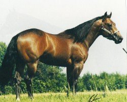 stallion Broadway BH (Quarter Horse,  , from Be Aech Enterprise)