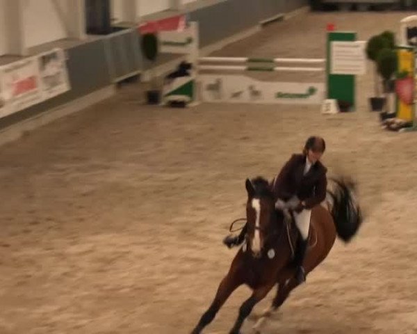 Springturnier auf dem Abtshof 2013