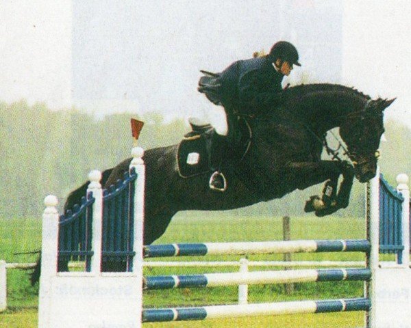 jumper Disney 46 (Brandenburg, 1995, from Drosselbart)