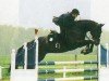 Springpferd Disney 46 (Brandenburger, 1995, von Drosselbart)