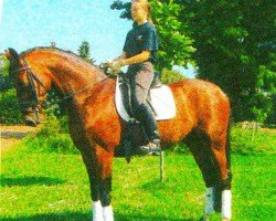 horse Goofy 72 (Hanoverian,  , from Golfstrom II)