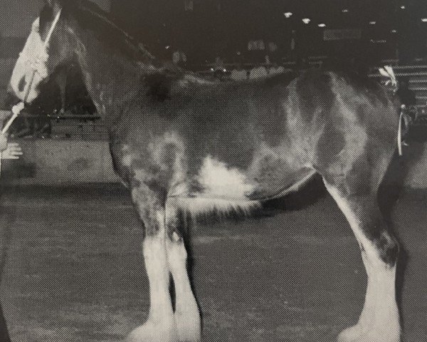 broodmare Armageddon's Mistress Agnes (Clydesdale, 1995, from Broadlea Classic Joe)