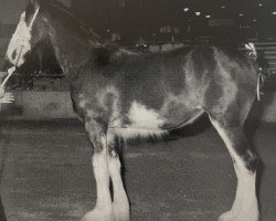 broodmare Armageddon's Mistress Agnes (Clydesdale, 1995, from Broadlea Classic Joe)