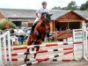 jumper Gloria 542 (Oldenburg show jumper, 2008, from Giorgio)