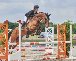 jumper Clair Mac Kenzie (Oldenburg show jumper, 2016, from Casallco)