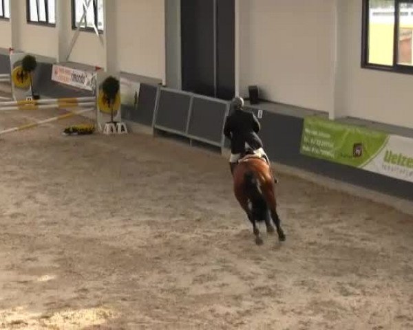 Springturnier auf dem Abtshof 2013