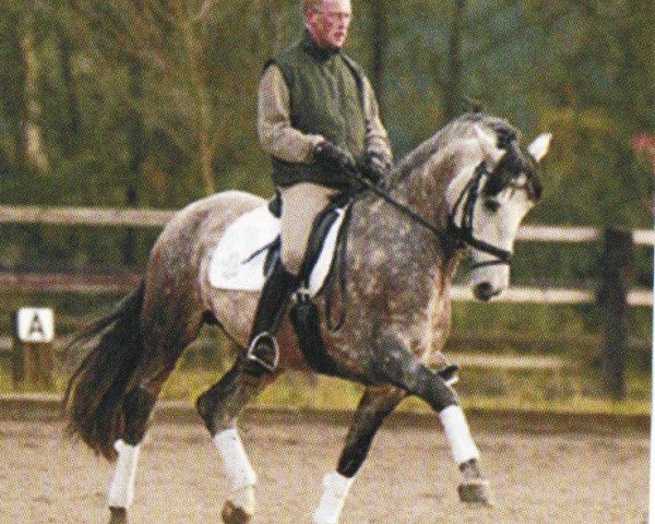 Pferd Poeta (Pura Raza Espanola (PRE), 1997, von Cautivo VII)