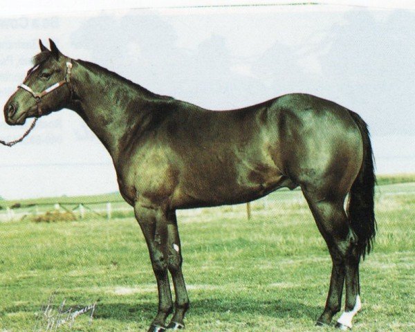 stallion Smooth N Call (Quarter Horse, 1990, from Smooth N Fine)