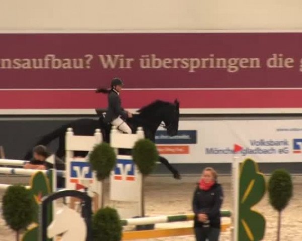 Springturnier auf dem Abtshof 2013