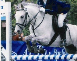 Pferd Yankee Boy (Deutsches Reitpony, 1997, von Giglberg's Jackson B 67)