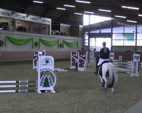 Reitturnier Hellefeld 2025