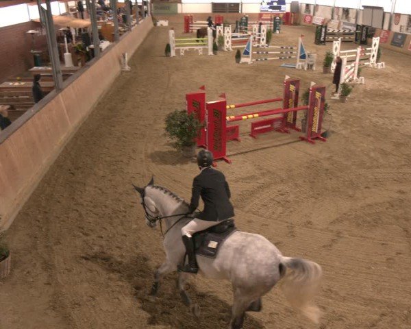 Reitturnier Westbarthausen 2025