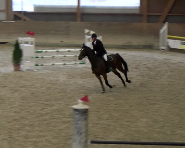 Reitturnier Schaffhausen 2025