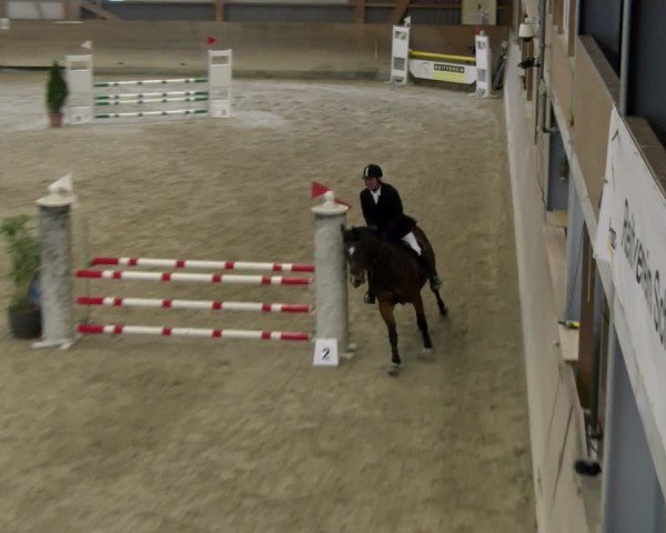 Reitturnier Schaffhausen 2025