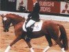 Pferd Rivana 26 (Deutsches Reitpony, 2000, von Voyage)