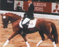 horse Rivana 26 (German Riding Pony, 2000, from Voyage)