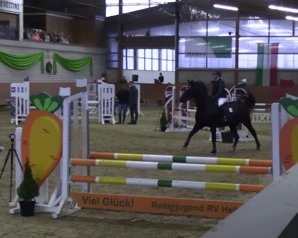 Reitturnier Hellefeld 2025