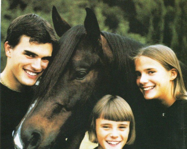stallion Taris Valentine (Quarter Horse, 1990, from Taris Catalyst)