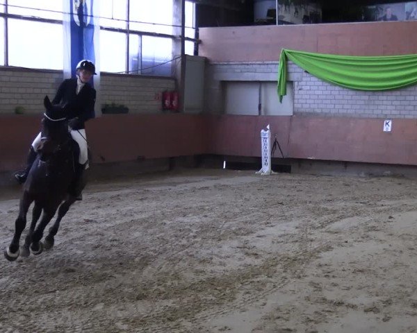 Reitturnier Hellefeld 2025