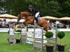 jumper Cosmopolitan (Oldenburg show jumper, 2016, from Kannan)