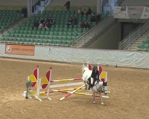 Reitturnier Kreuth 2025