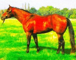 Deckhengst Power Scotch (Quarter Horse, 1998, von Fritz Power)