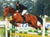 dressage horse Douglas 232 (German Riding Pony, 2004, from Deister)