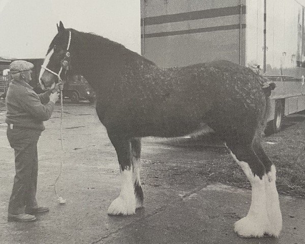 broodmare Barlauchlan Baroness (Clydesdale, 1993, from Doura Expectation)
