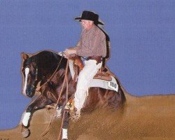 Deckhengst Sunny Little Lena (Quarter Horse, 1996, von Smart Little Lena)