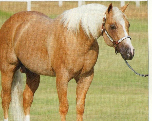 Deckhengst Yellow Roan Of Texas (Quarter Horse, 1997, von Peptoboonsmal)