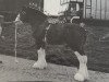 stallion Greendykes Chancer (Clydesdale, 1990, from Doura Expectation)