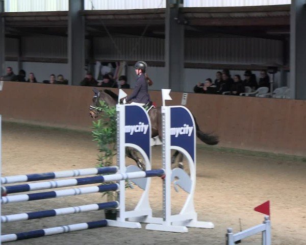 Reitturnier Schlieckau 2025