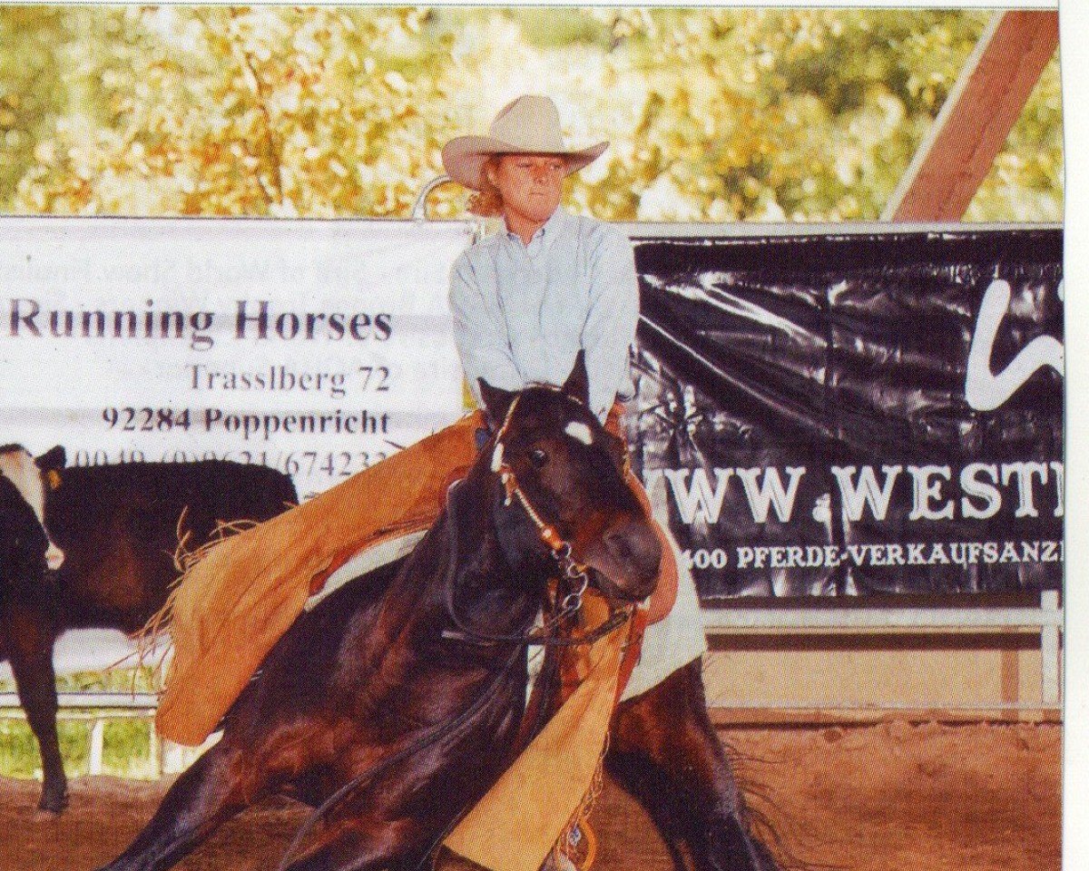 stallion The Sharp Shooter (Quarter Horse, 1997, from Playgun)