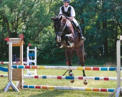 jumper Corleone B 4 (Hanoverian, 2013, from Chacco Gold)