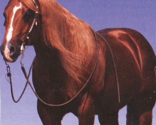 horse Smart Like Juice (Quarter Horse, 1994, from Smart Little Lena)