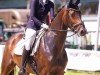 broodmare Borgia 9 (Rhinelander, 2011, from Boston)