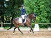 dressage horse Valentina 142 (German Riding Pony, 2017, from Van Heinrich)